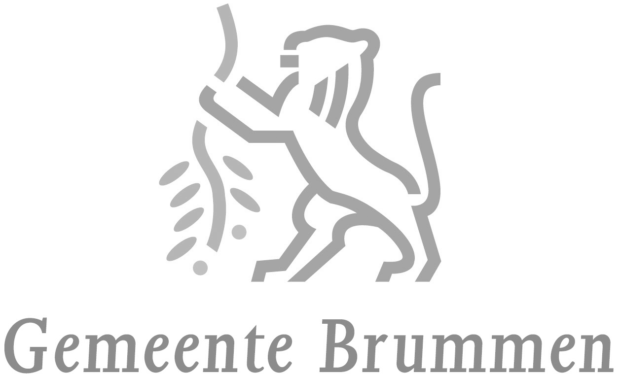 Gemeente-Brummen.png