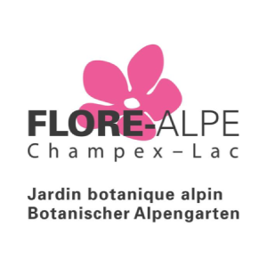 flore-alp.png