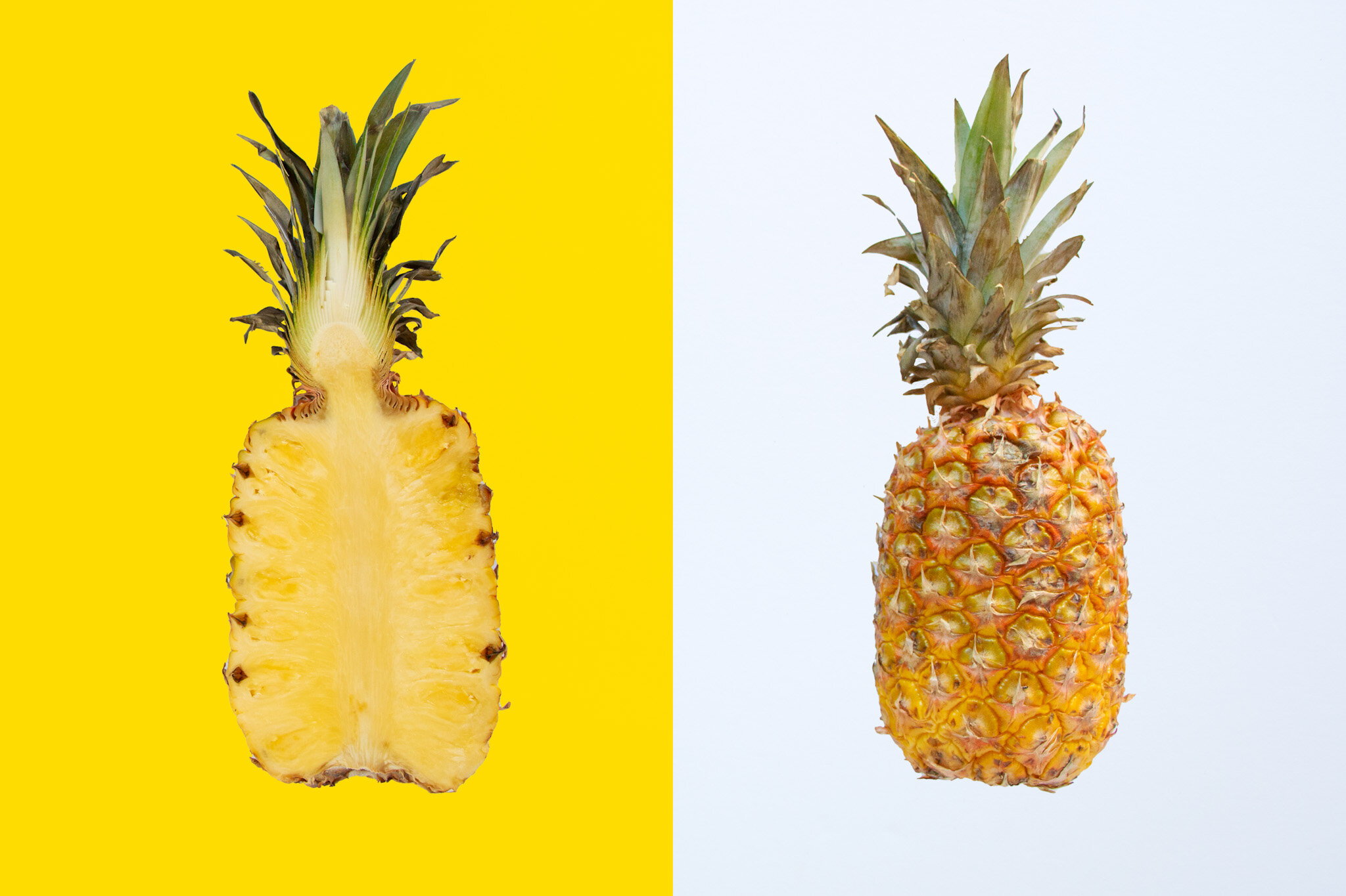 Yellow Project.jpg