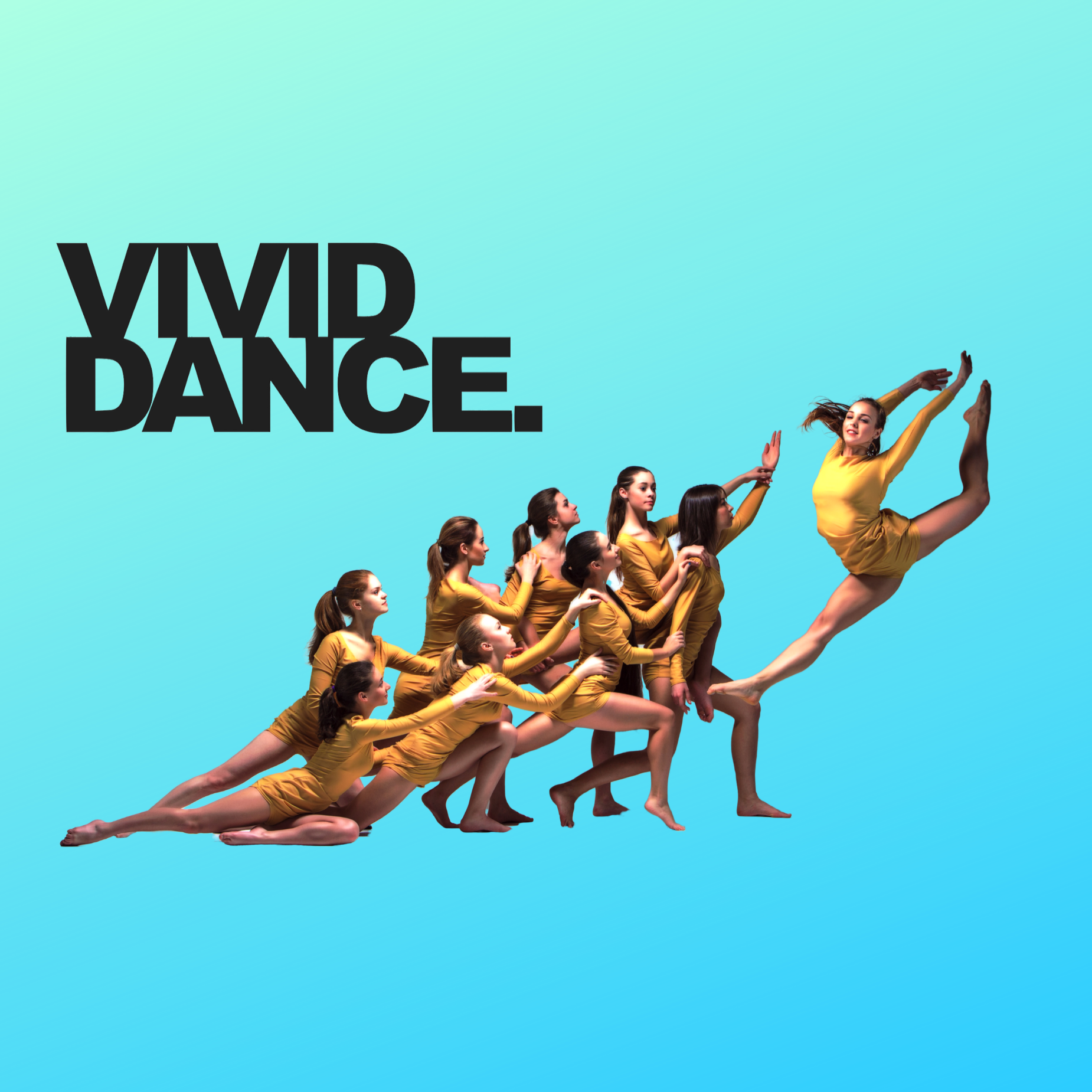 Vivid Part 1 - 60 Minute Course 