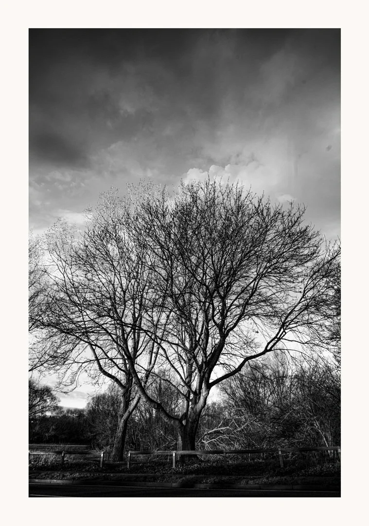 Northamptonshire new year 2025 001.jpg