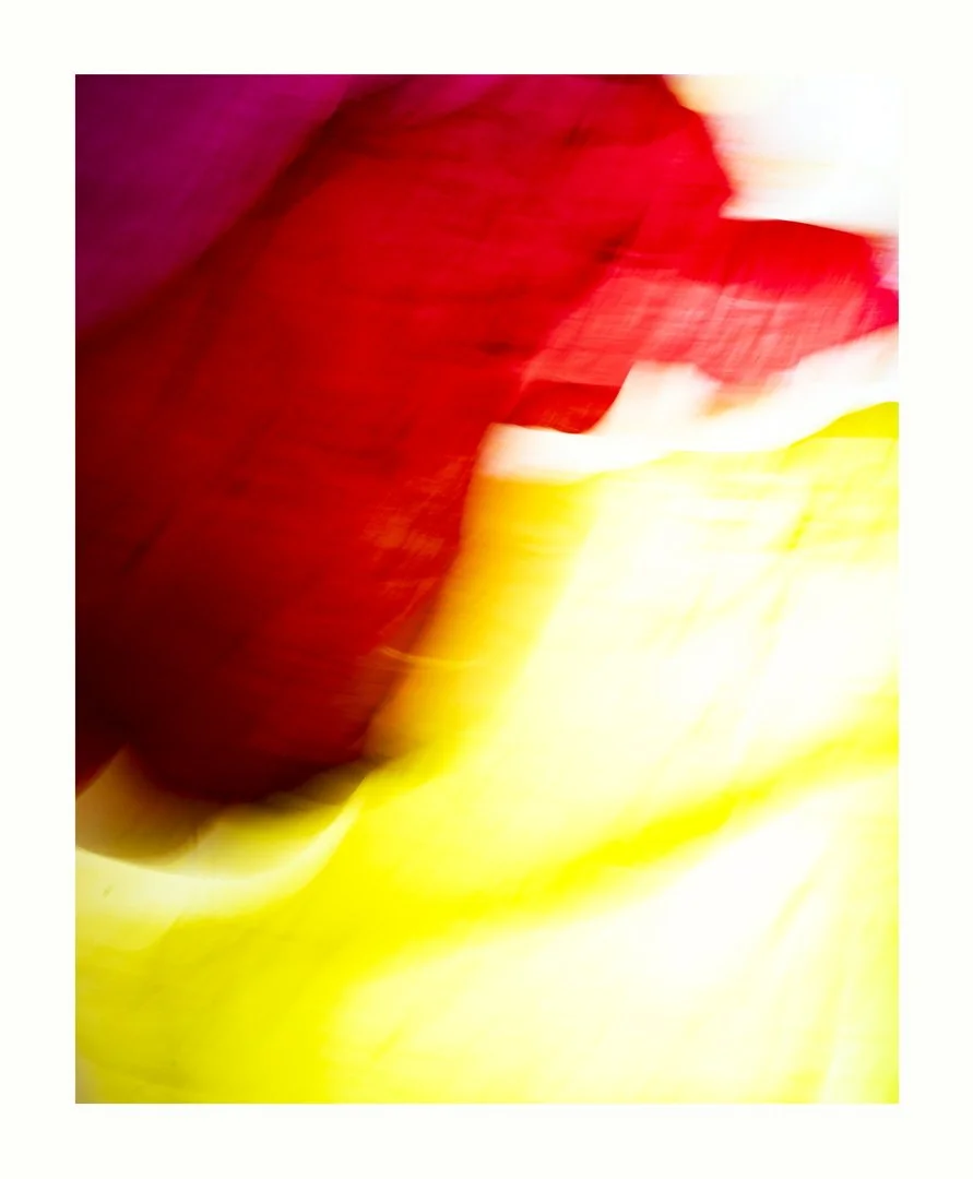 tissue paper 001x.jpg