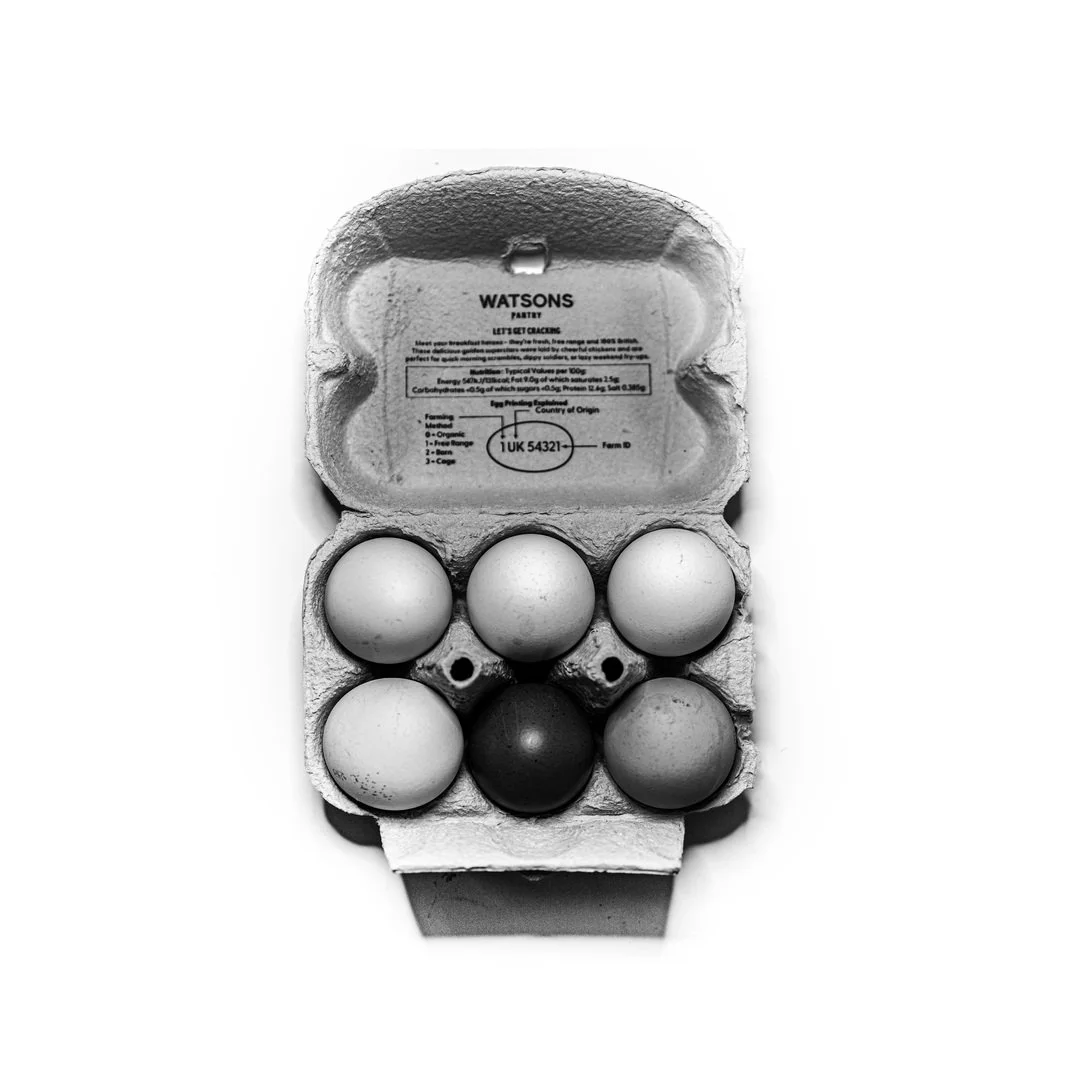 eggs in box.jpg