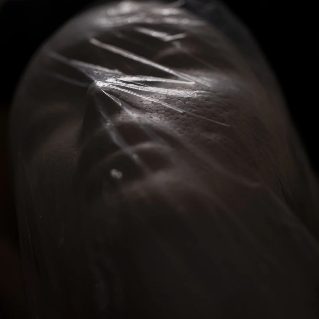 polystirene head and bag 01.jpg