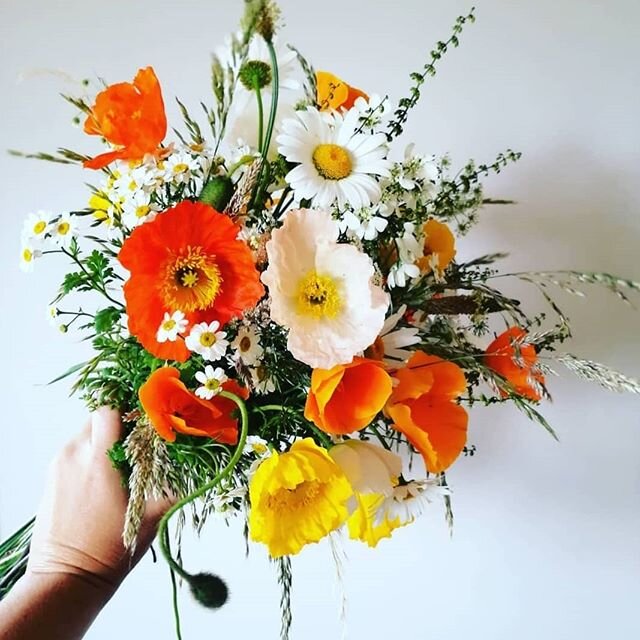 It's British flowers week. This is my offering plucked from the plot this morning. My first attempt included a stem of everything that was in flower. I was trying to illustrate the enormity of seasonal choice. The thought was there but it looked a me