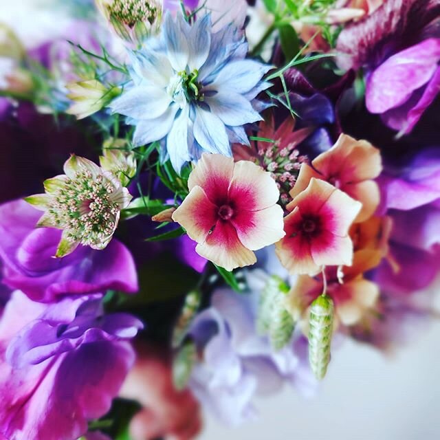 It is time to order your Friday Flowers.
The weeks are flying by. I have chosen my favourites and as always they smell amazing. 
Locals get free delivery to. Orders via website please.
#fridayflowers #Flowers#blooms #phlox #nigella #sweetpea #smokebu