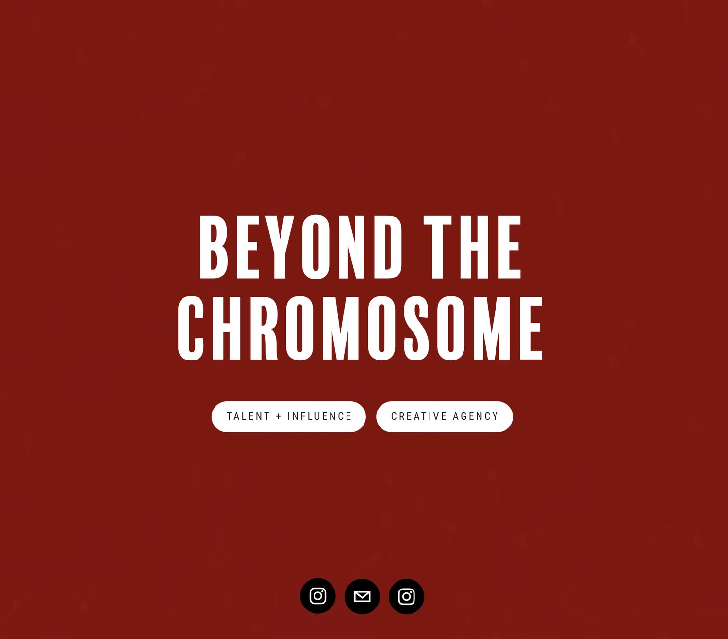 BEYOND THE CHROMOSOME :  TALENT + CREATIVE AGENCY