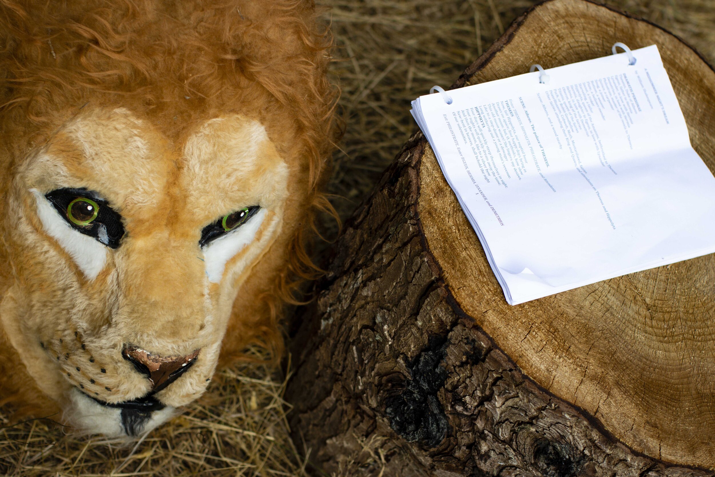 Midsummer Night's Dream