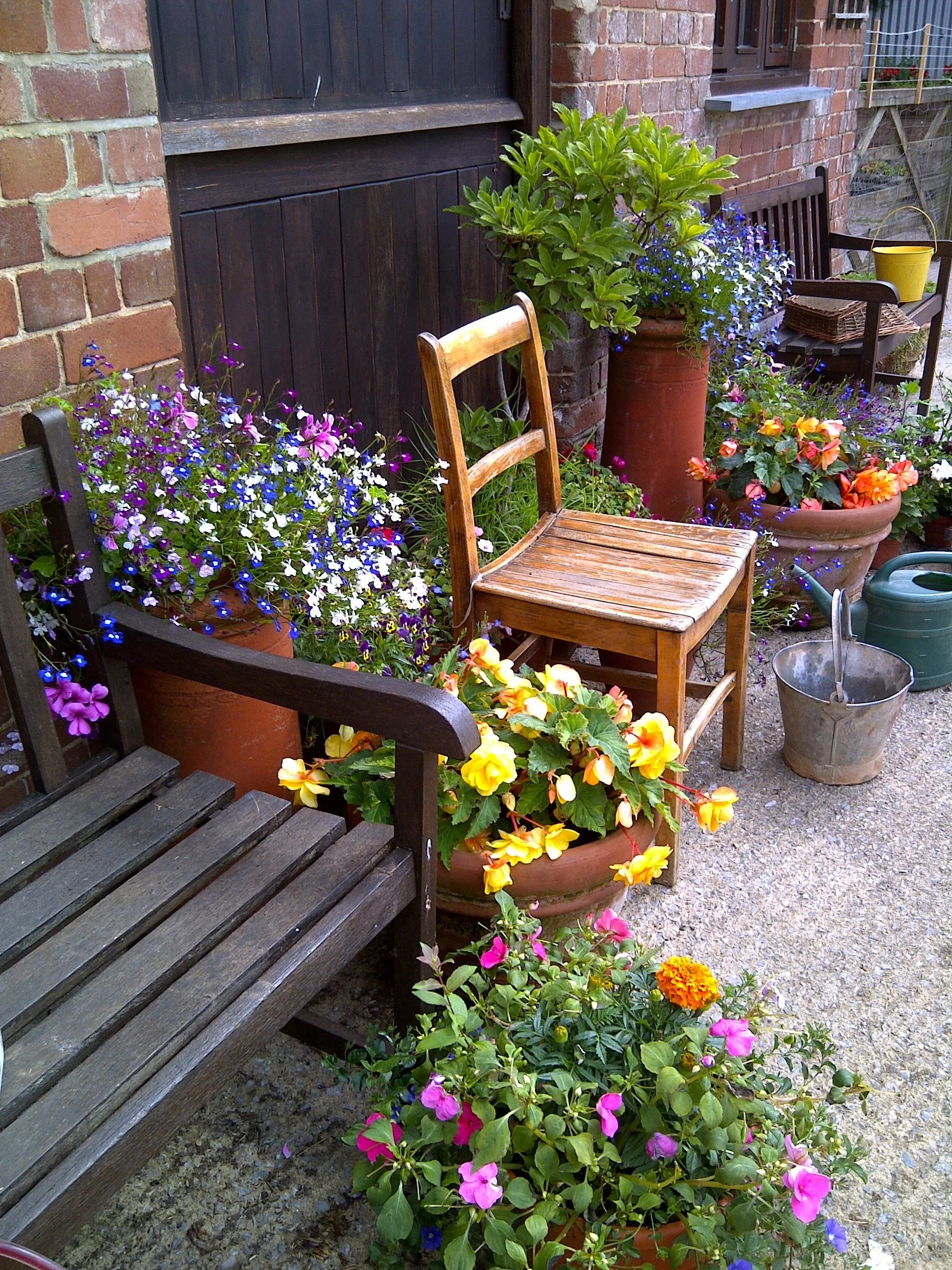 East Devon-20110805-00096 (1).jpg