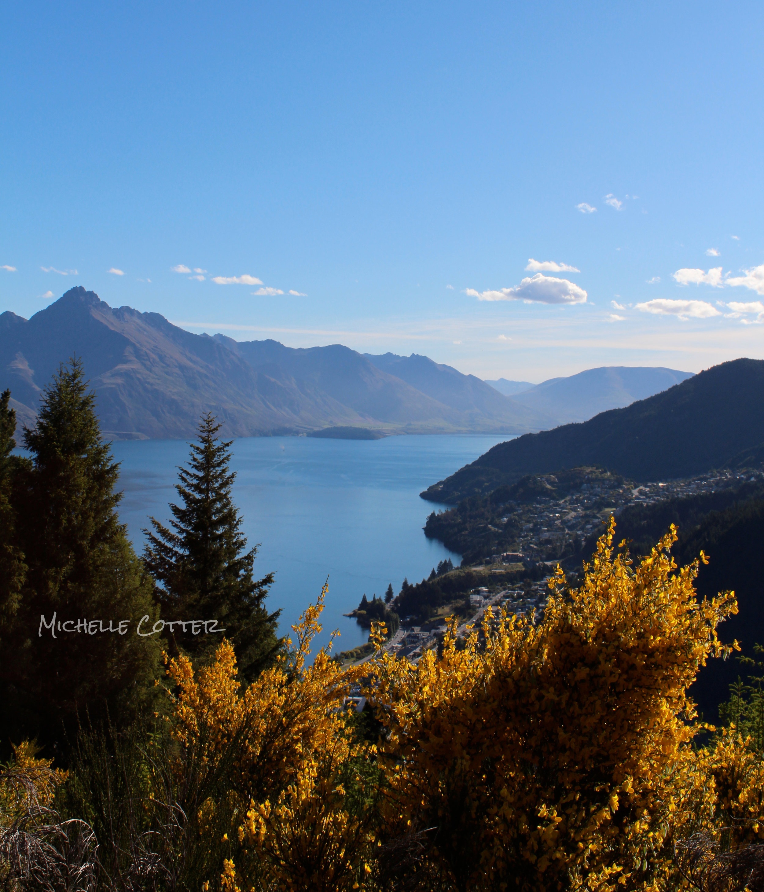 IMG_2187.jpg