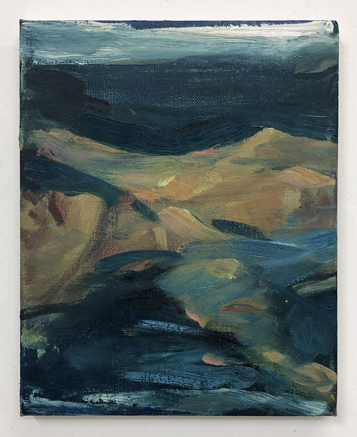 Wild Swimmer (Lake), 2019