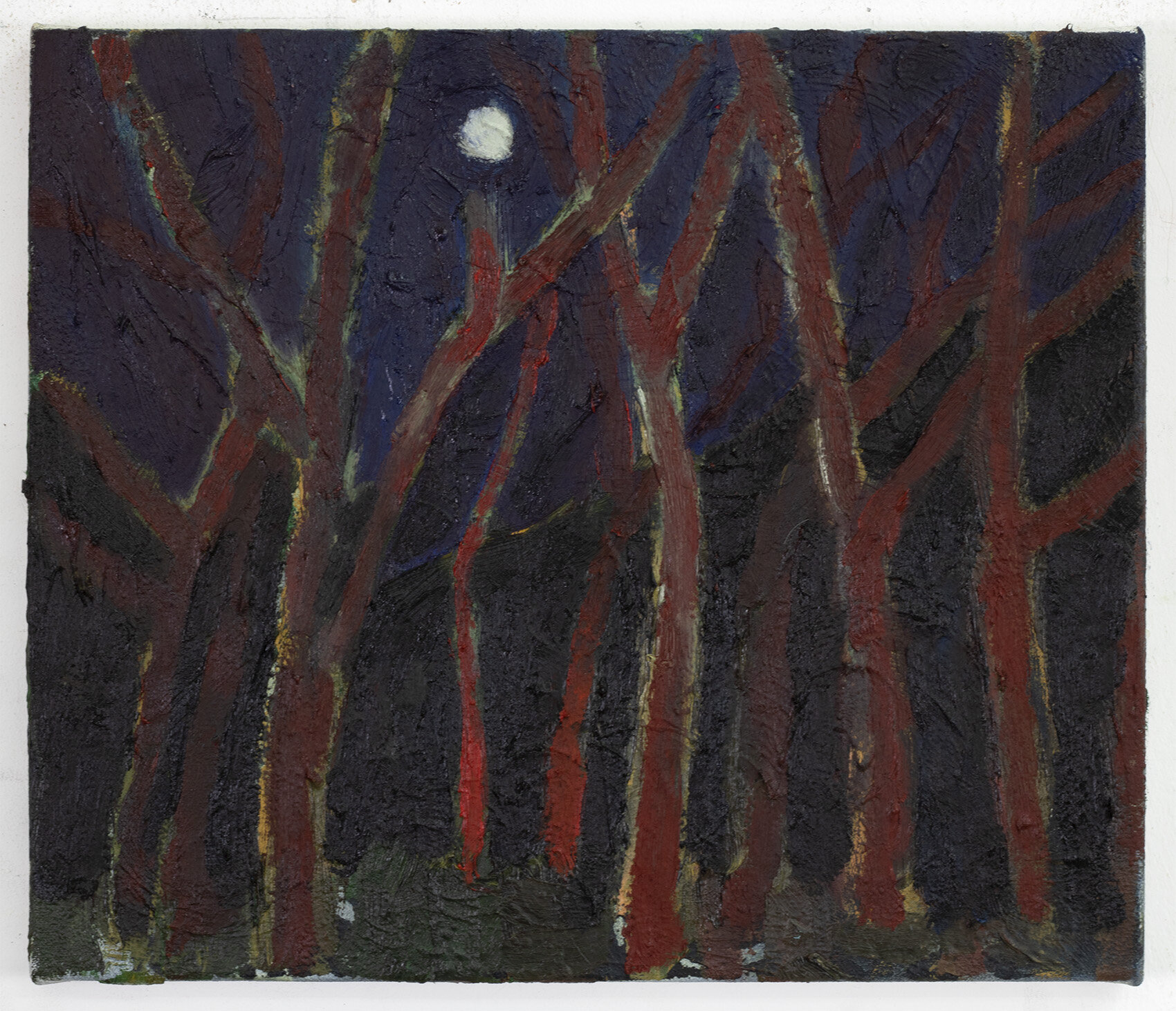 Moon Through the Trees (study), 2020