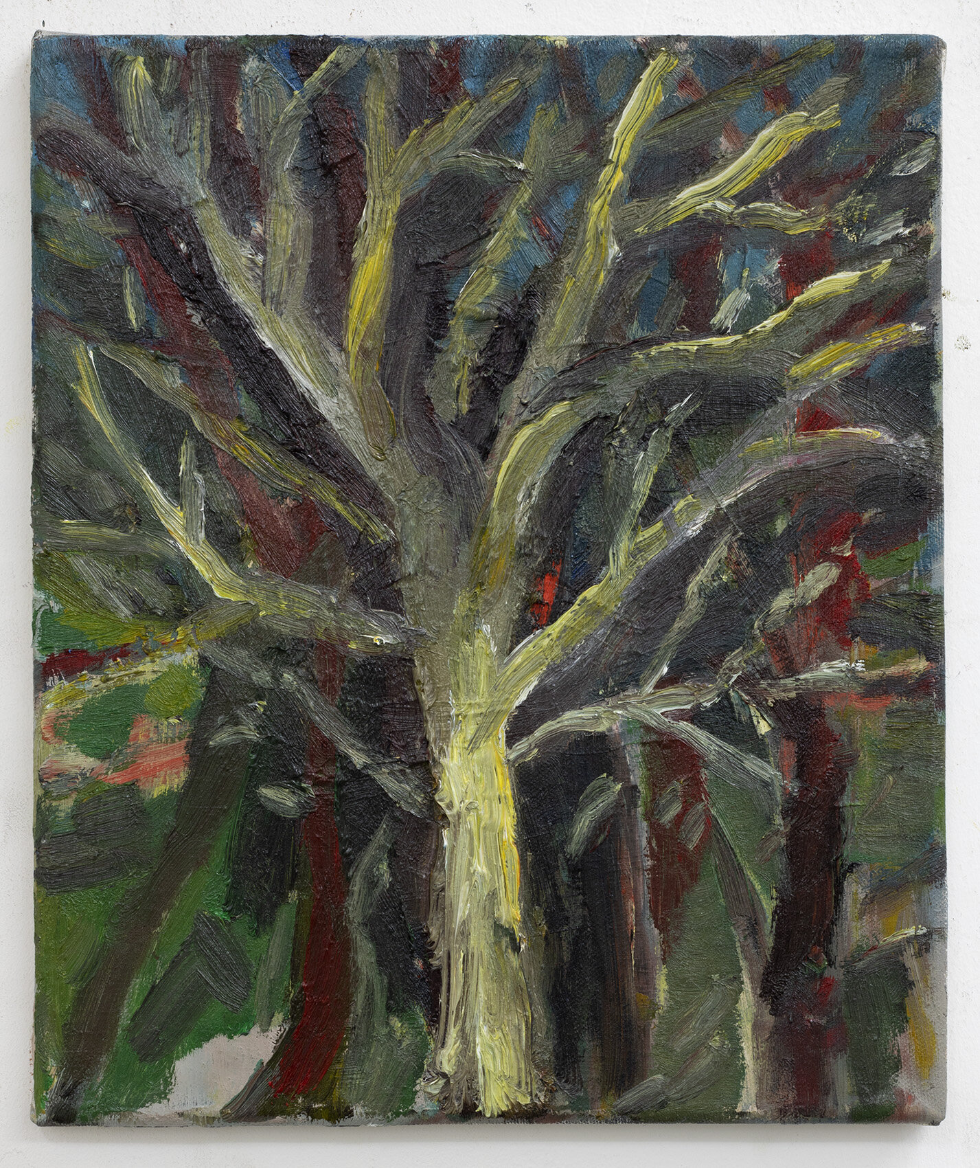 Neighbour's Tree II, 2020