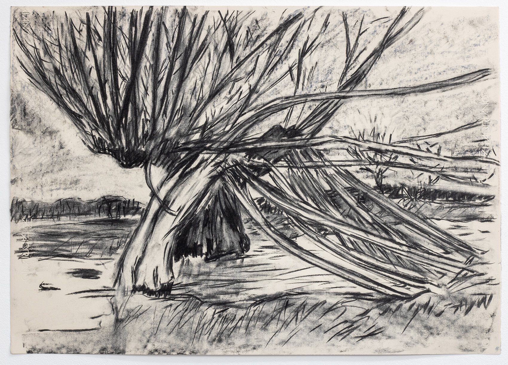 Windswept Tree III (Constable Country), 2023