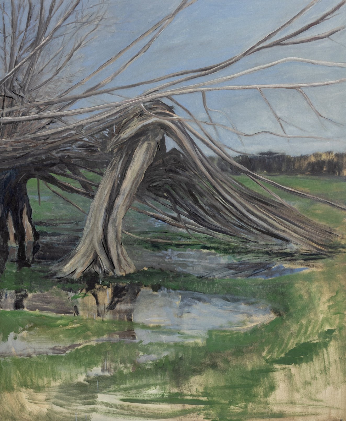 Windswept Trees on the Flooded Stour (Constable Country), 2023