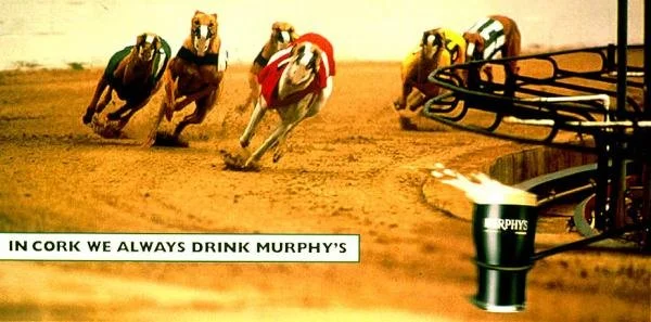 murphys-irish-stout-dog-racing-small-47126.jpg