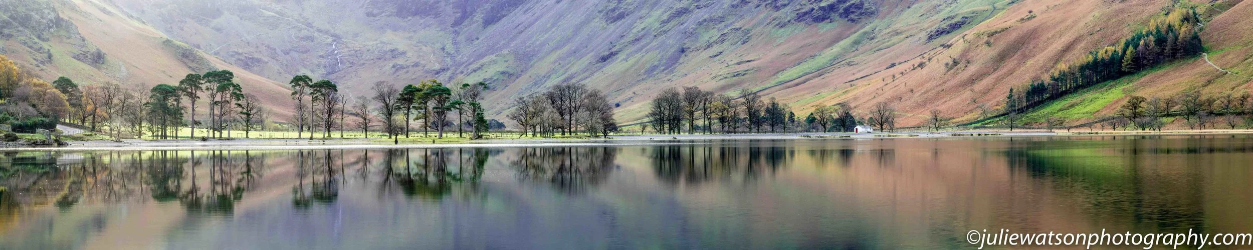 buttermere pines