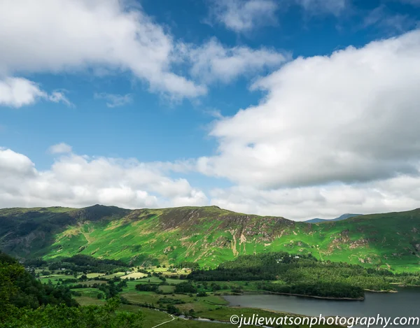 catbells 