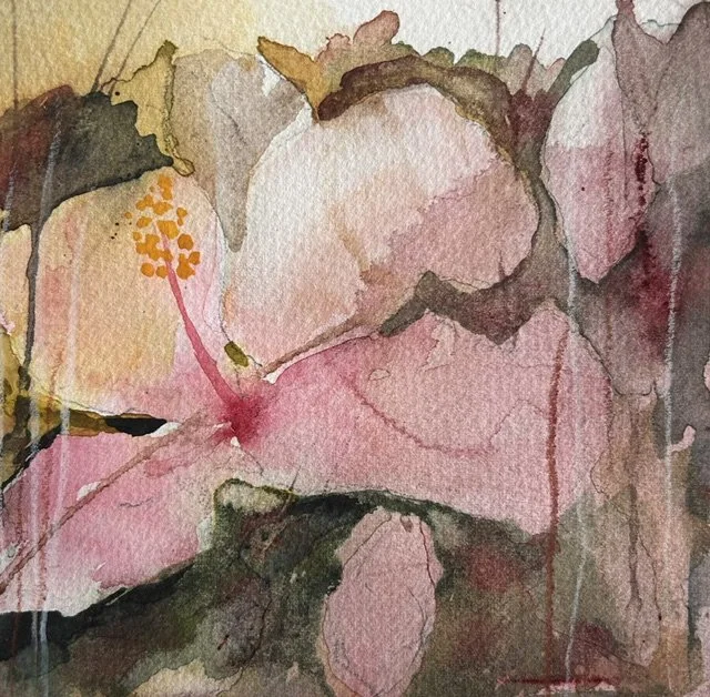 Hibiskus3.jpeg