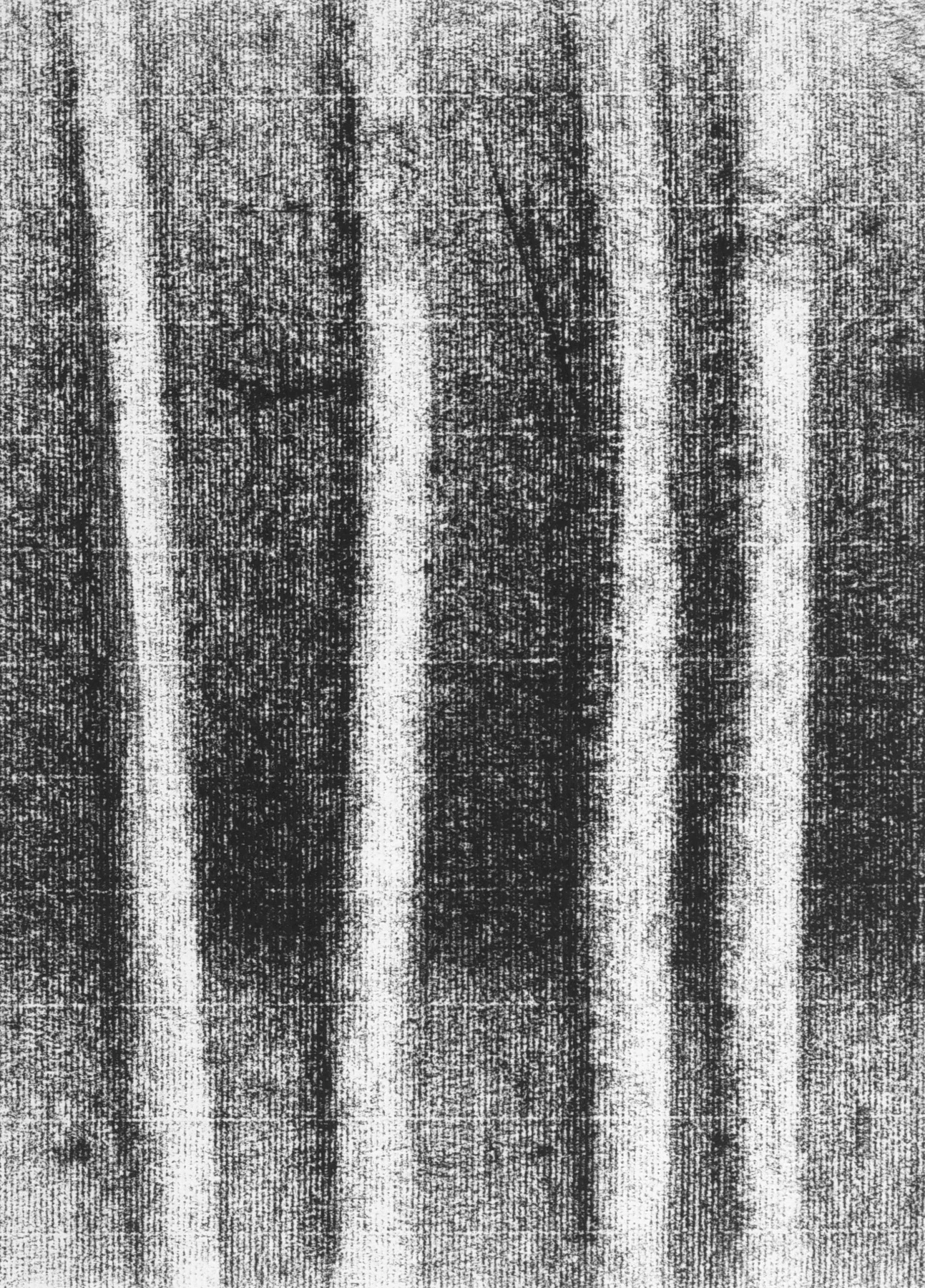 TREE STUDY NO. 2