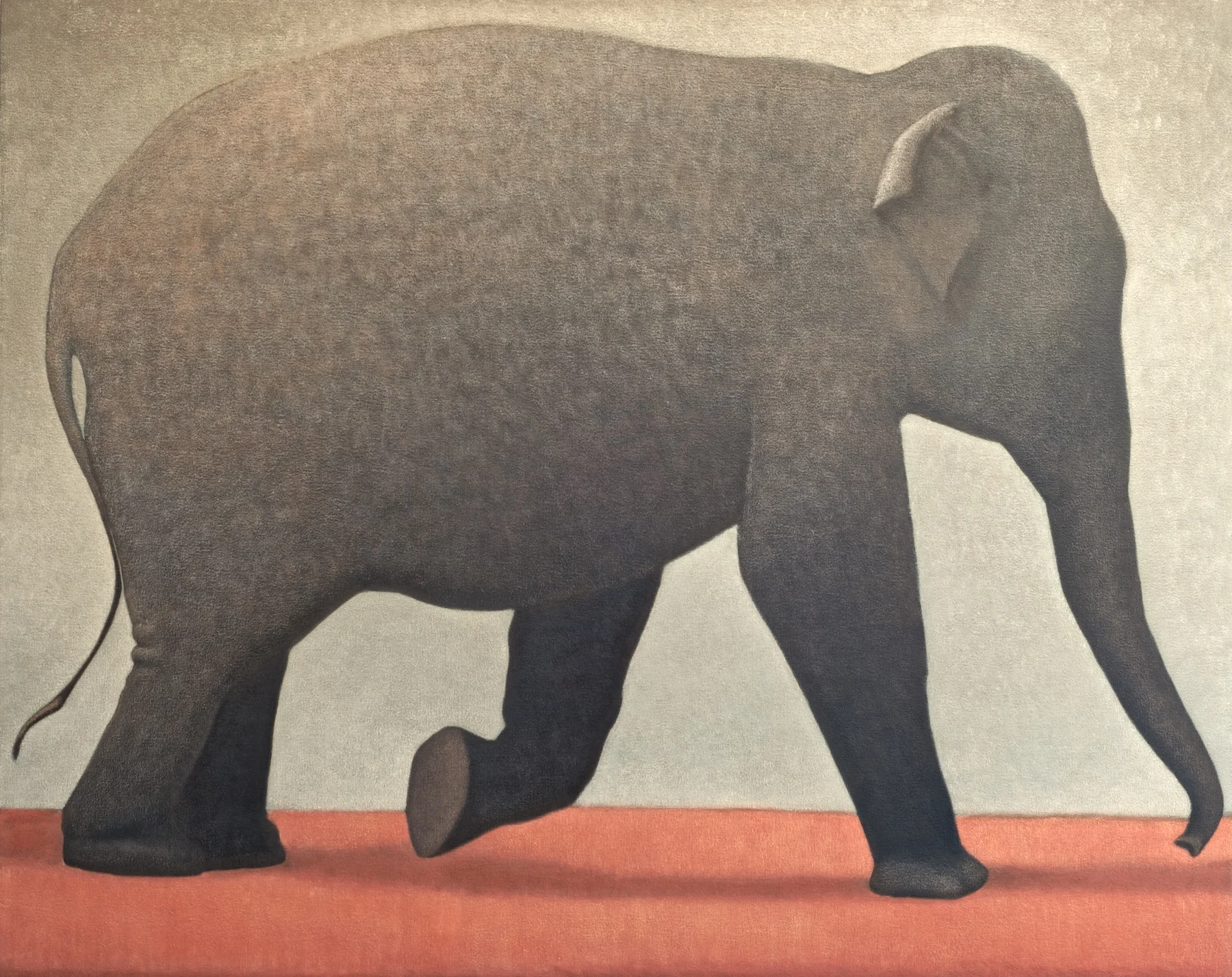 ELEPHANT WALKING