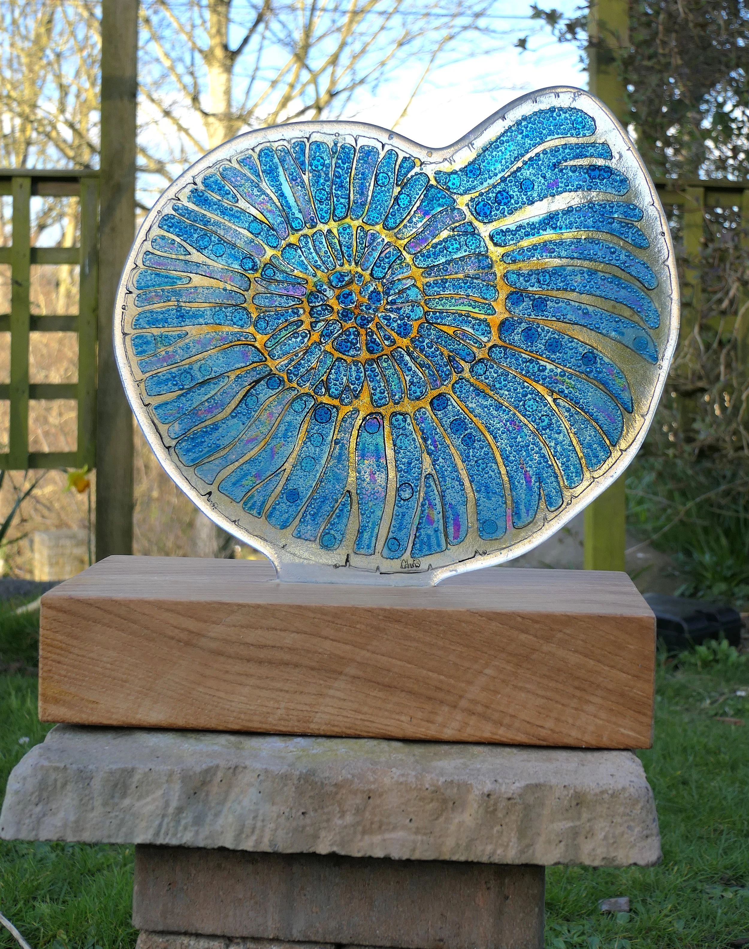 Ammonite copy.JPG