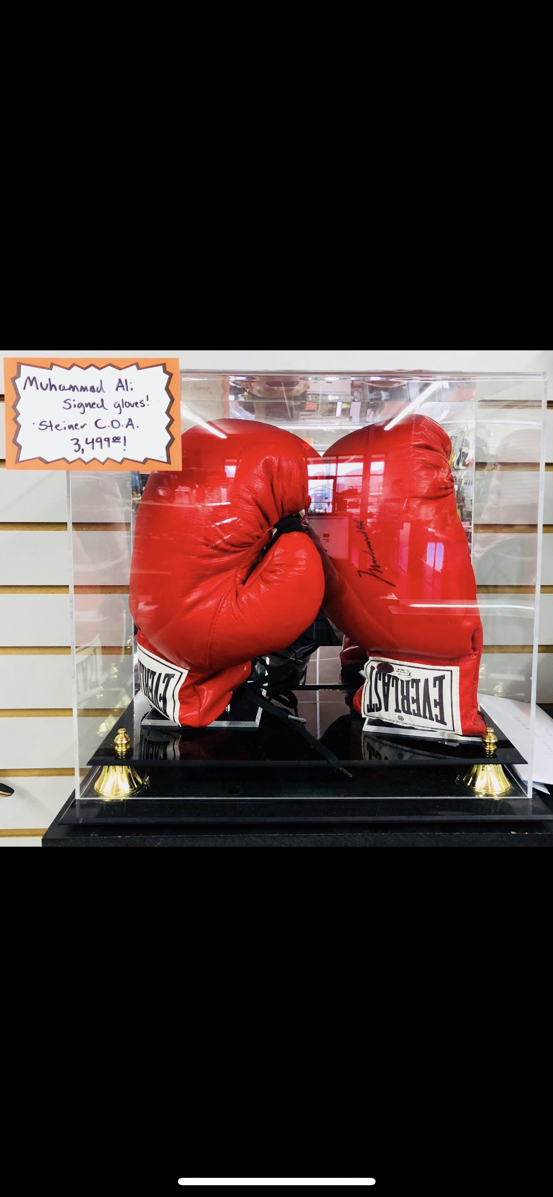 BoxingGloves.jpg