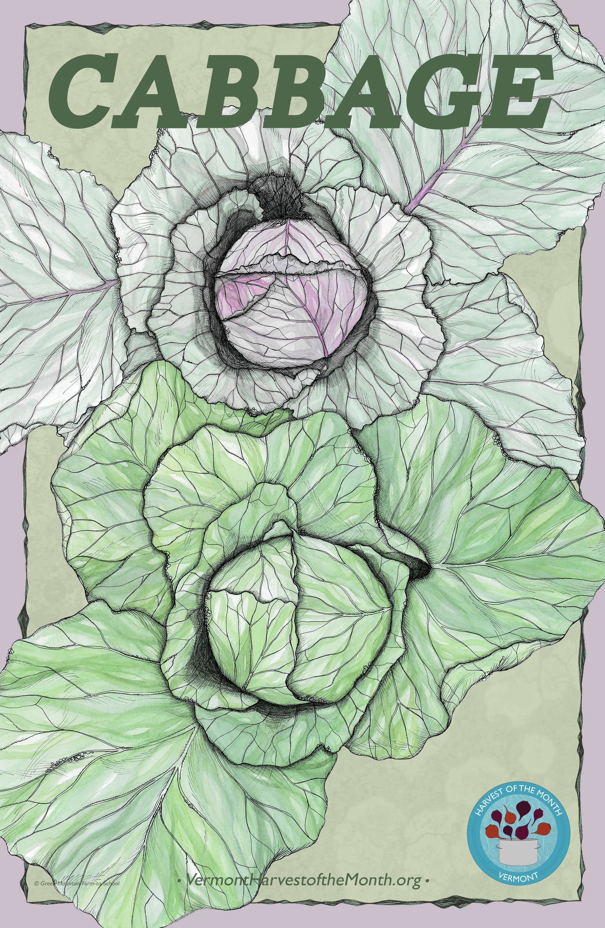 Cabbage Poster.jpg