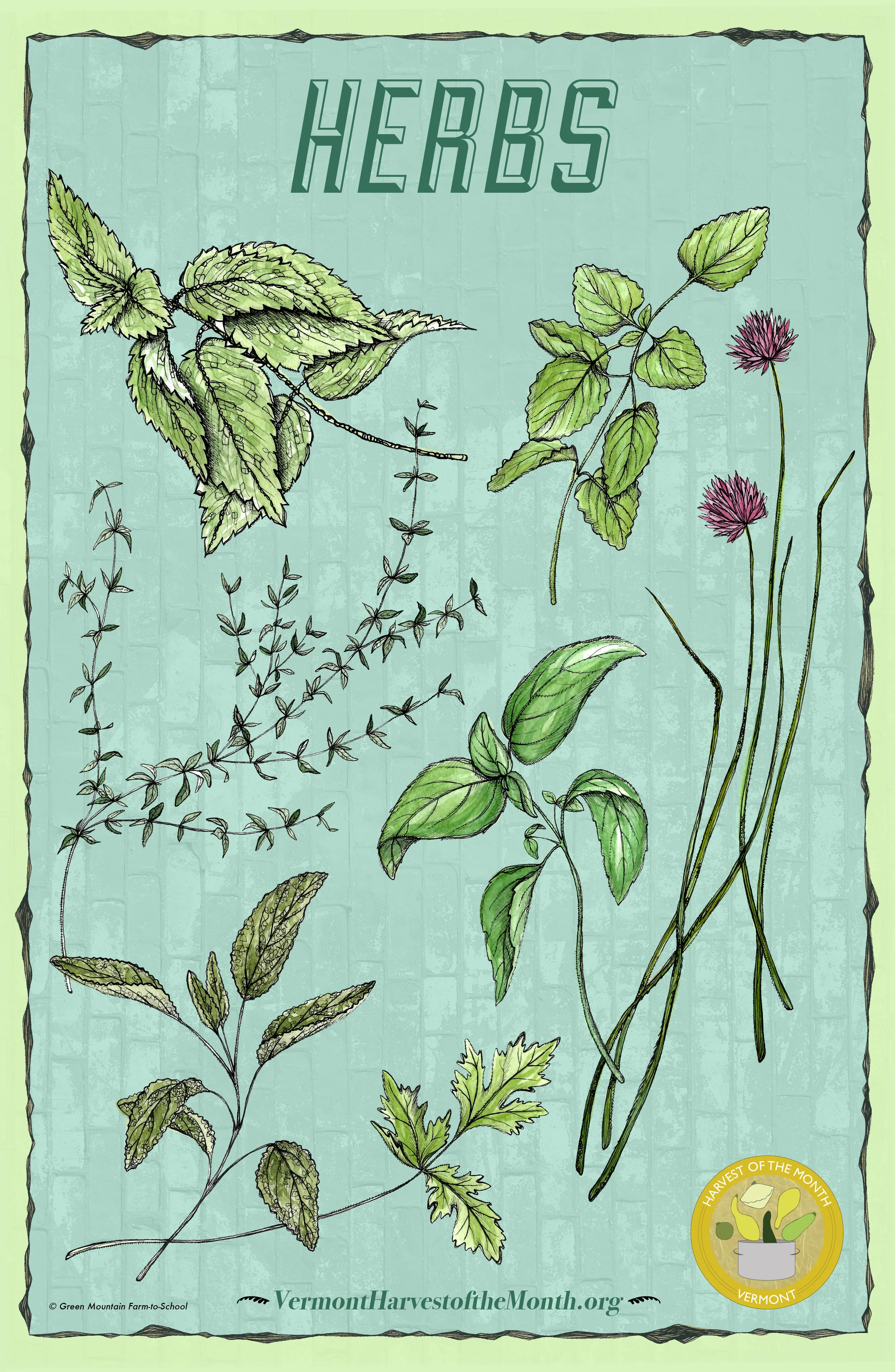 Herbs Poster.jpg