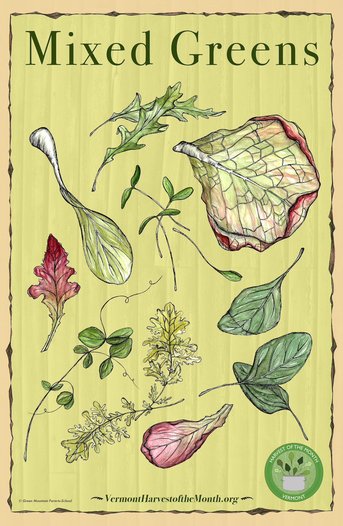 Mixed Greens Poster.jpg