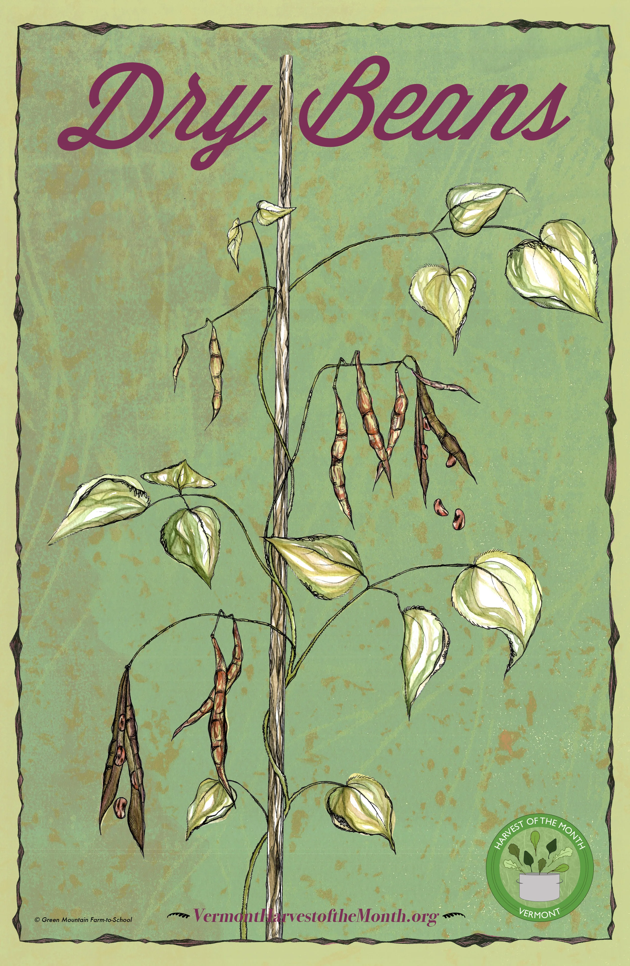 Dry Beans Poster.jpg