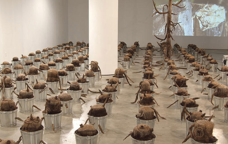 Sound for THE LAST TREE