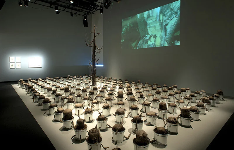 The Last Tree travels to Burchfield Center
