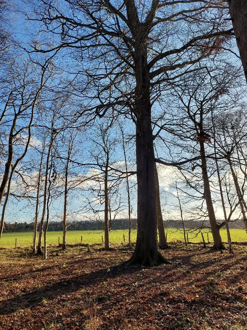 A shift in life's seasons part I  - BETRAYAL