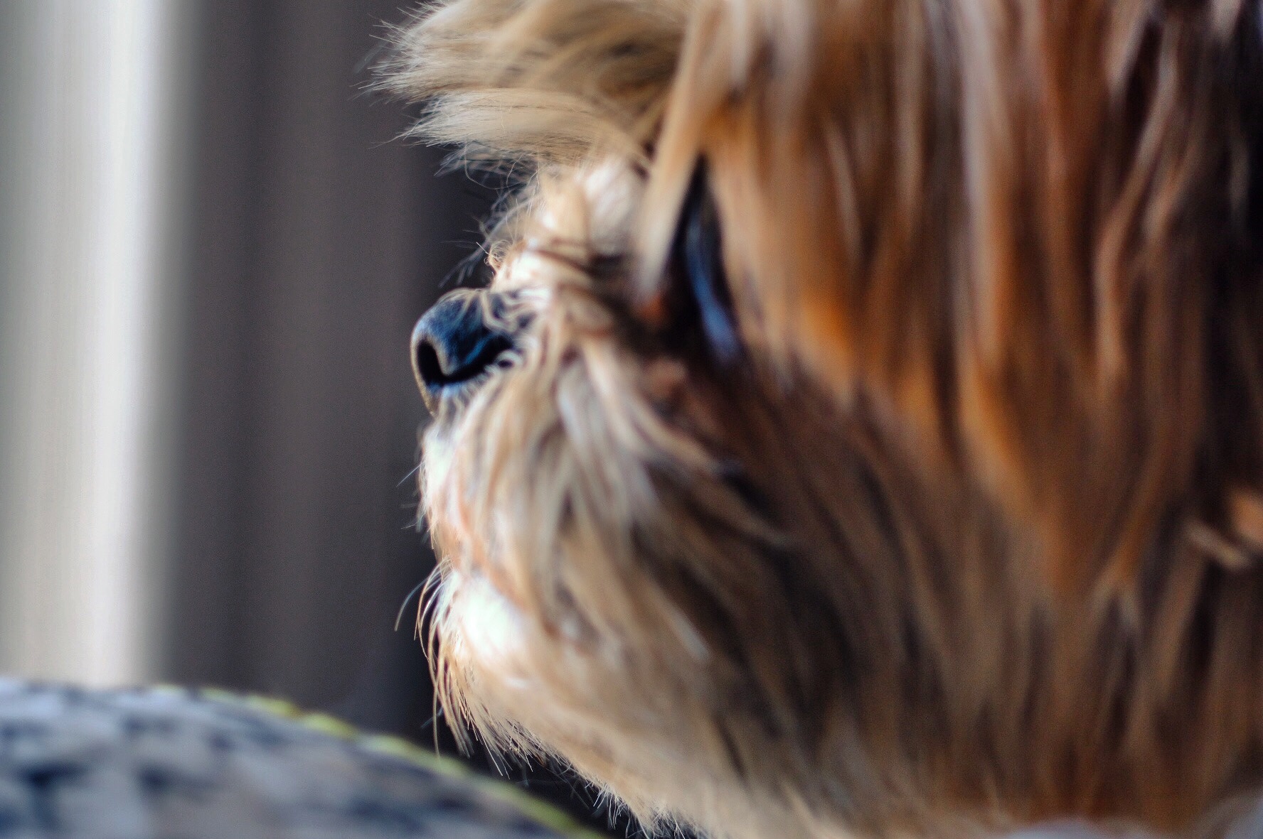 3EACBCB5-654A-4747-96AC-A1104C2E5799.jpeg