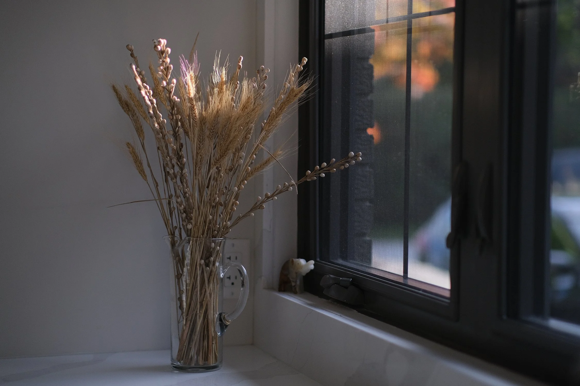 DSCF1779.jpg