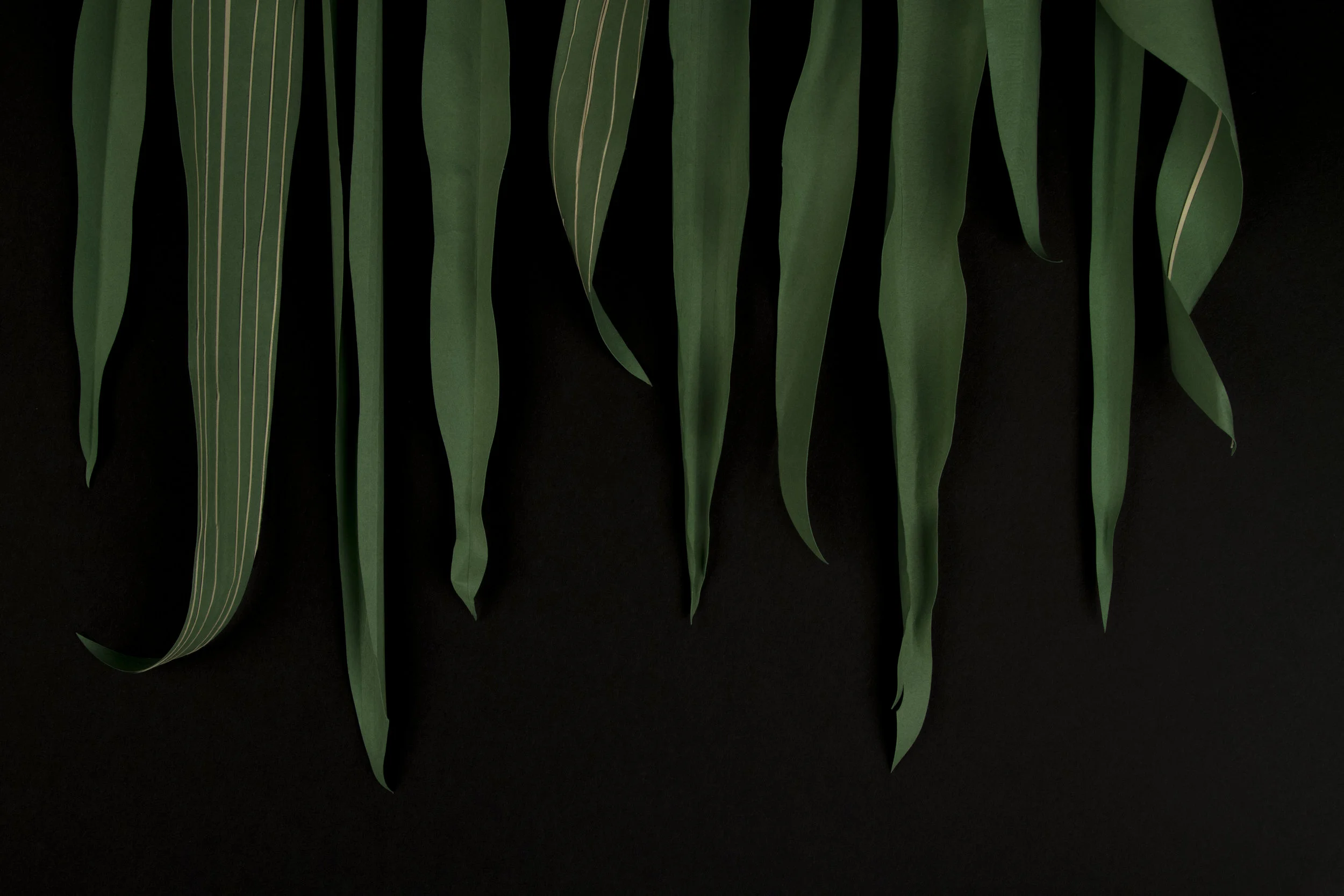 4. Leaves_header.jpg