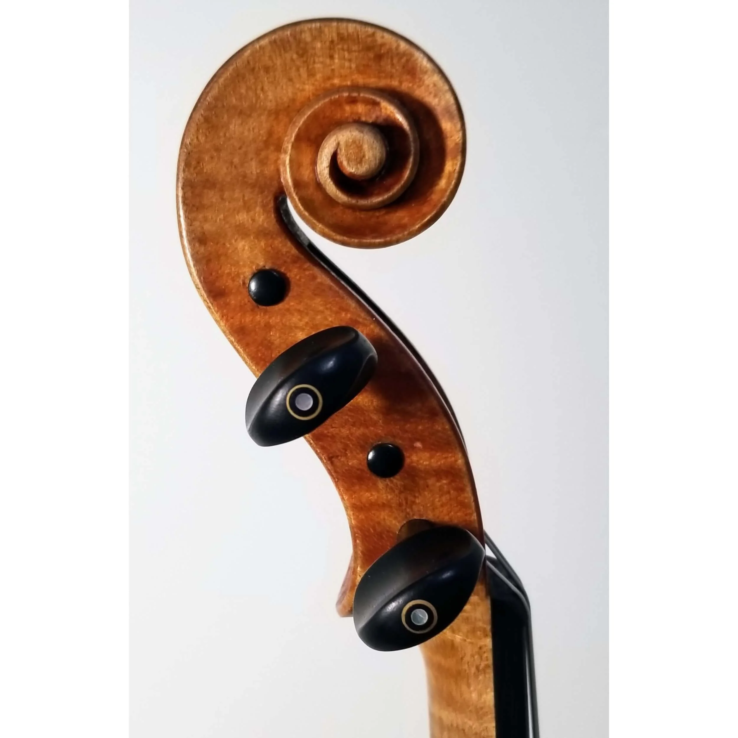 American-violin_James-l-Gilbert_anno-2025-scroll.jpg