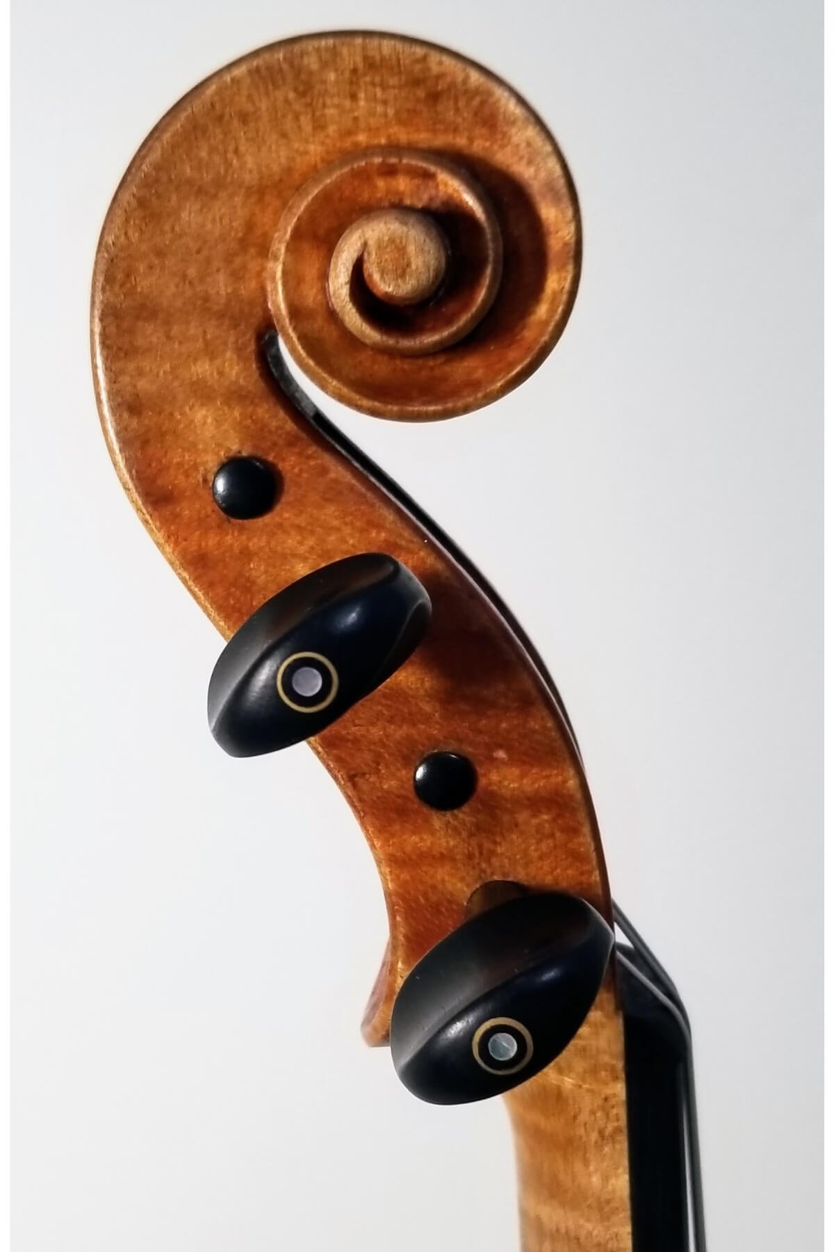 James L. Gilbert Violin, anno 2025 - scroll view 