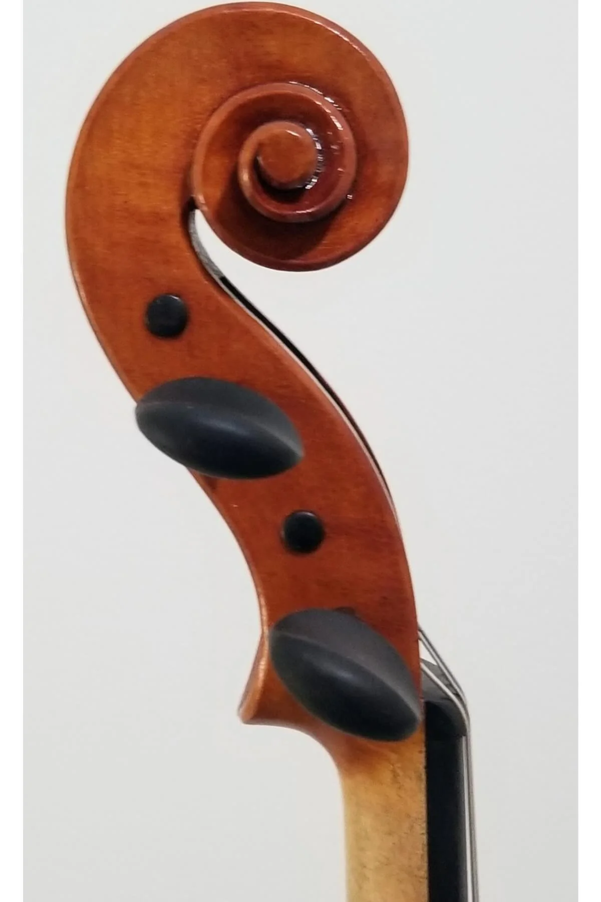 James L. Gilbert Violin, anno 2024 - scroll view 