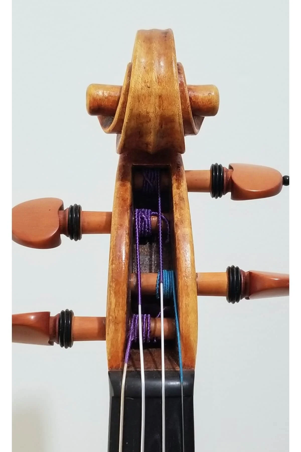 F. Morris violin, 2020 – peg box view