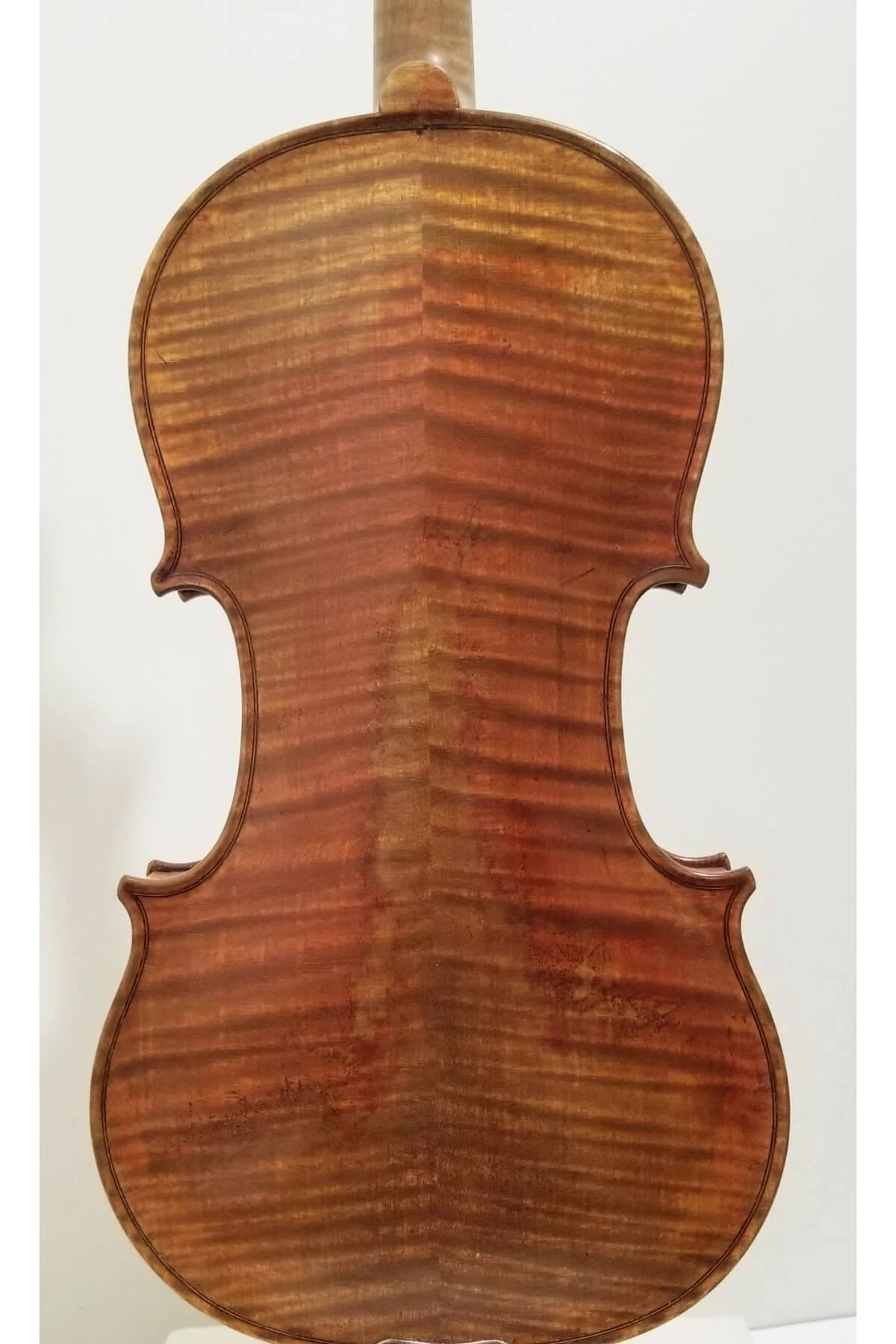 Violin by Michael Daddona, anno 2015 - back view 