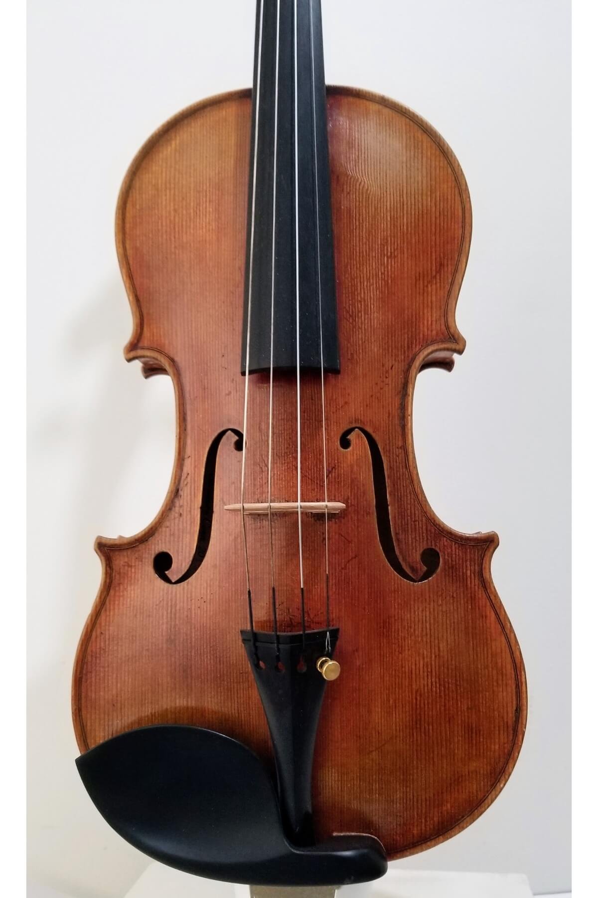 Violin by Michael Daddona, anno 2015 - front view 