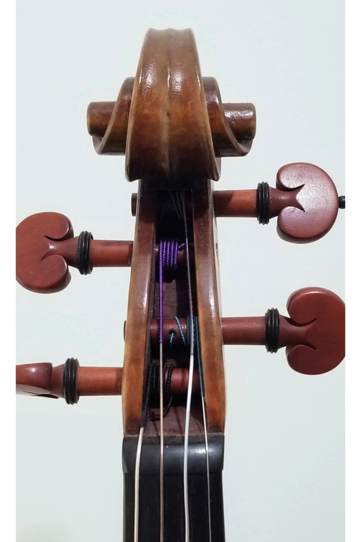Violin by Michael Daddona, anno 2015 - peg box view 