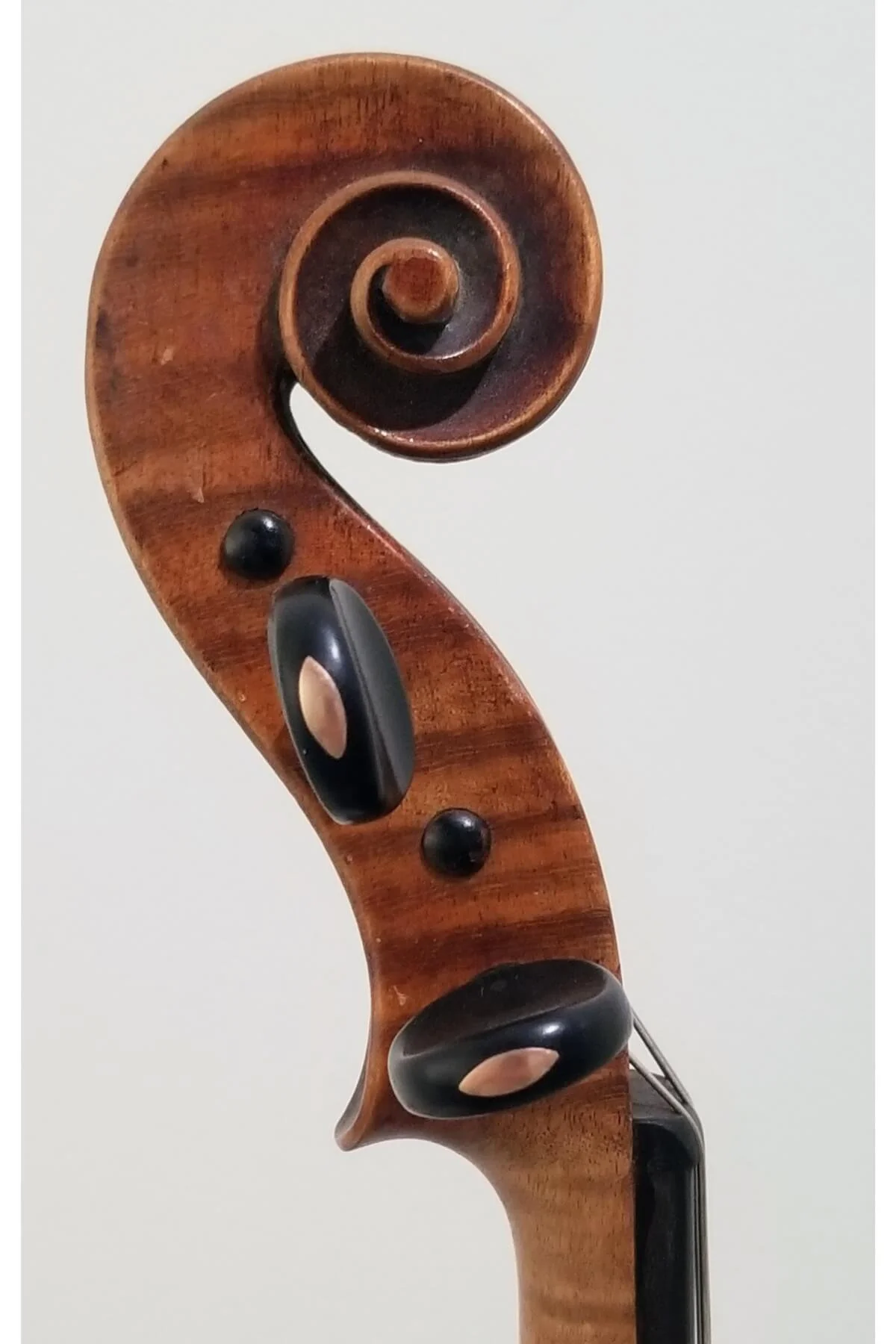 Albert Goetz branded A. Goetz violin, German, anno 1925 - scroll view