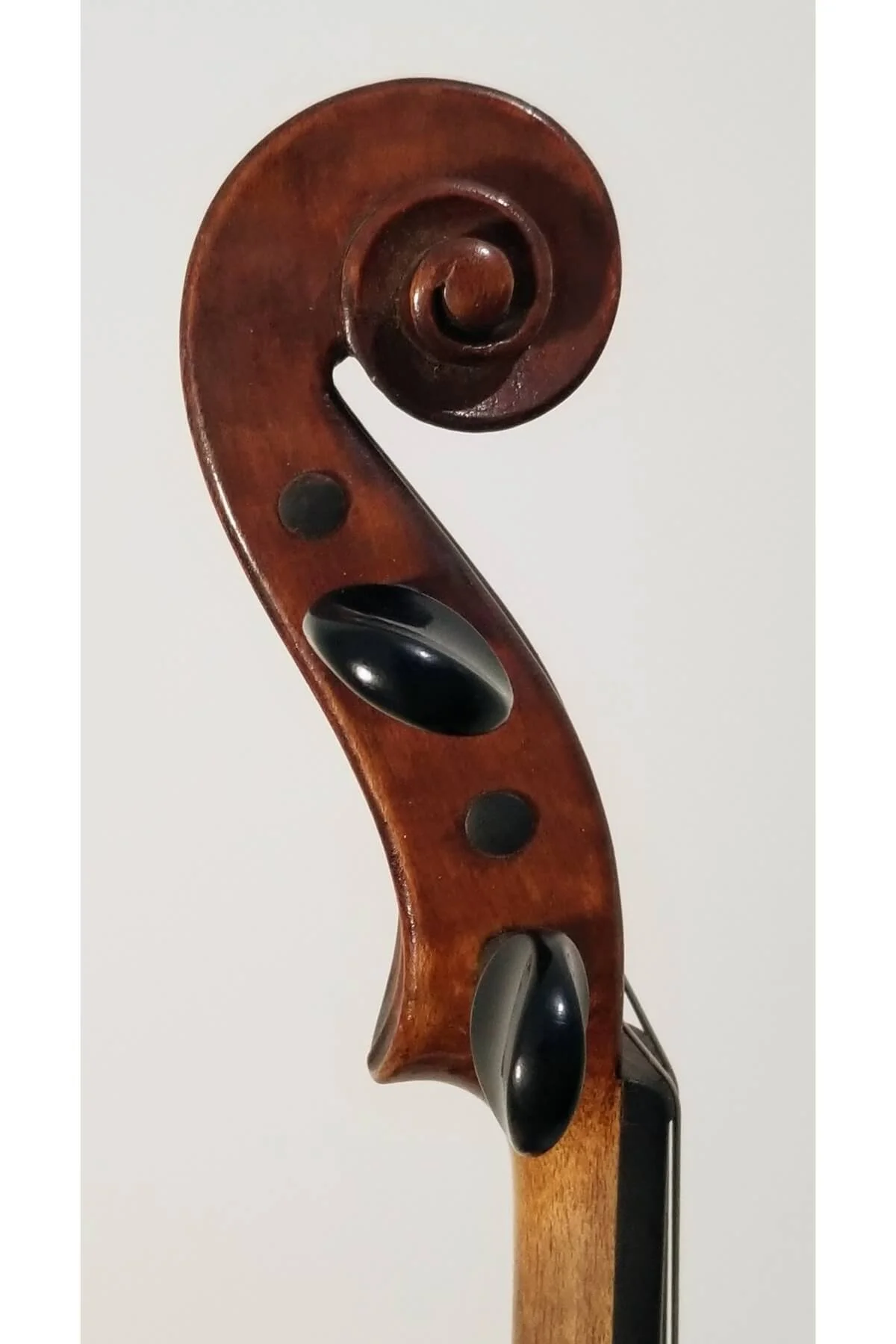 Early 20th century American violin labeled Degani Guilio Eugenio, Venice anno 1928 - scroll view