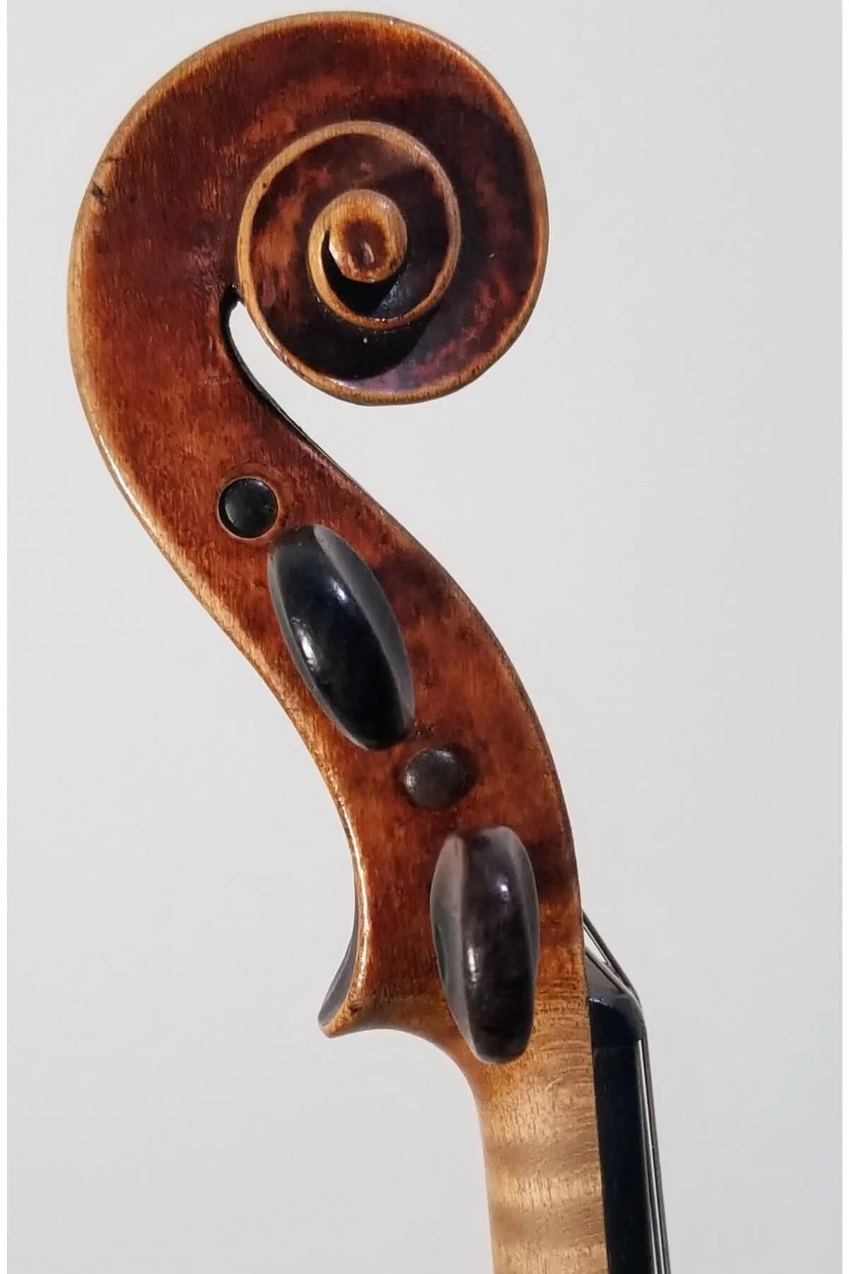 German violin by Carl Neuner verfertigt nach Stradivarius - scroll view