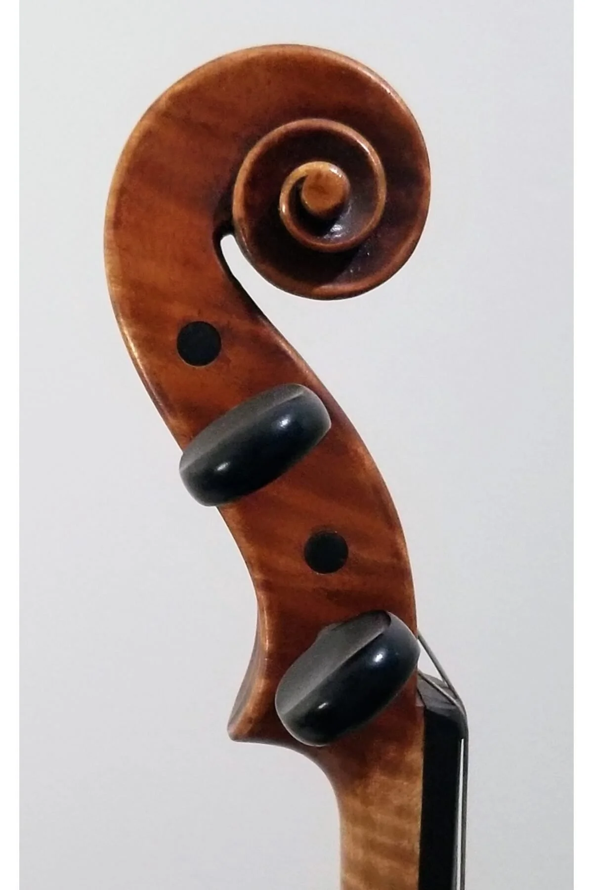 A German violin by Peter Holzmann, anno 1999 - scroll view