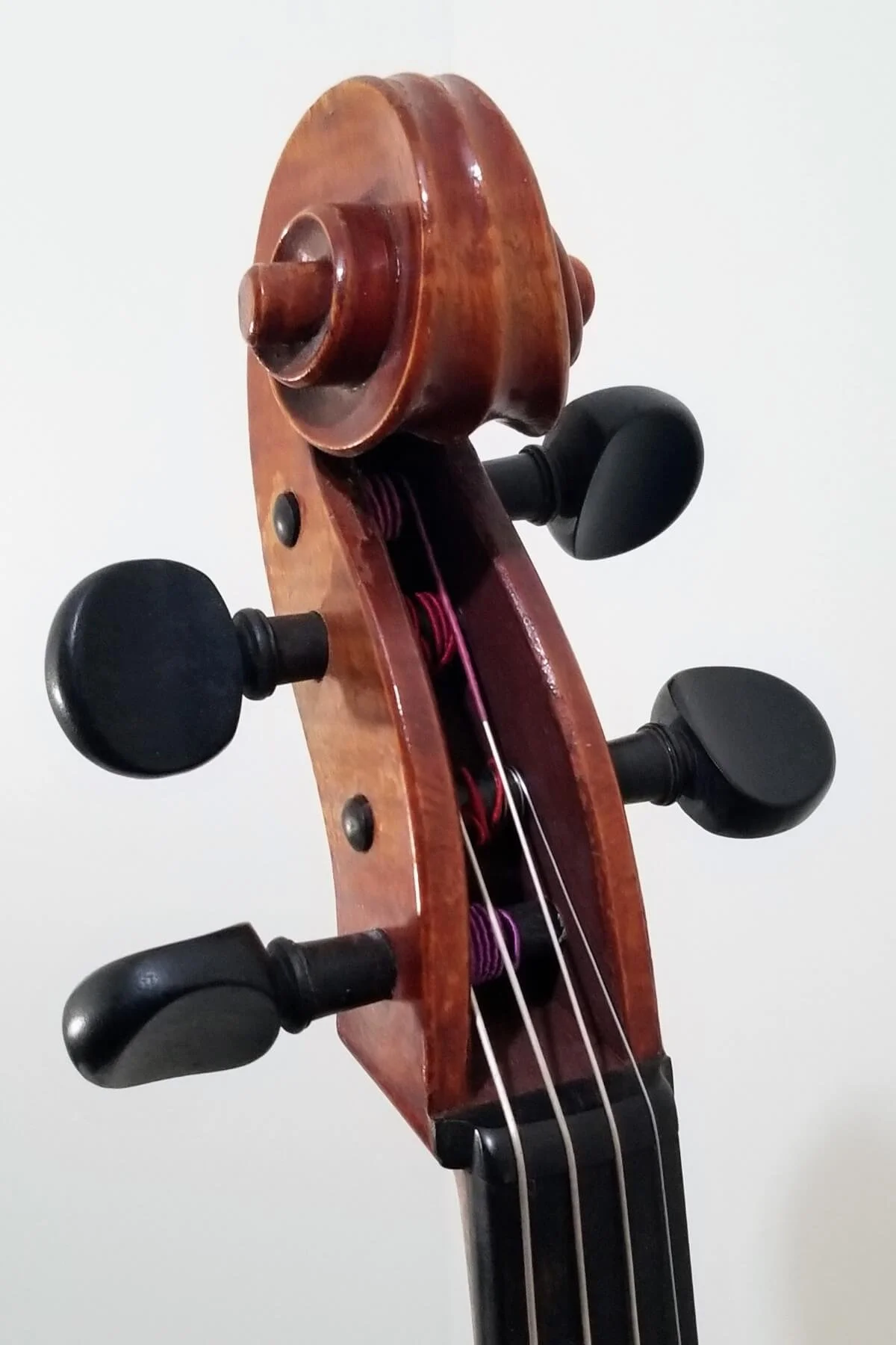 A 15 1/2 German viola, early 20th century - peg box view