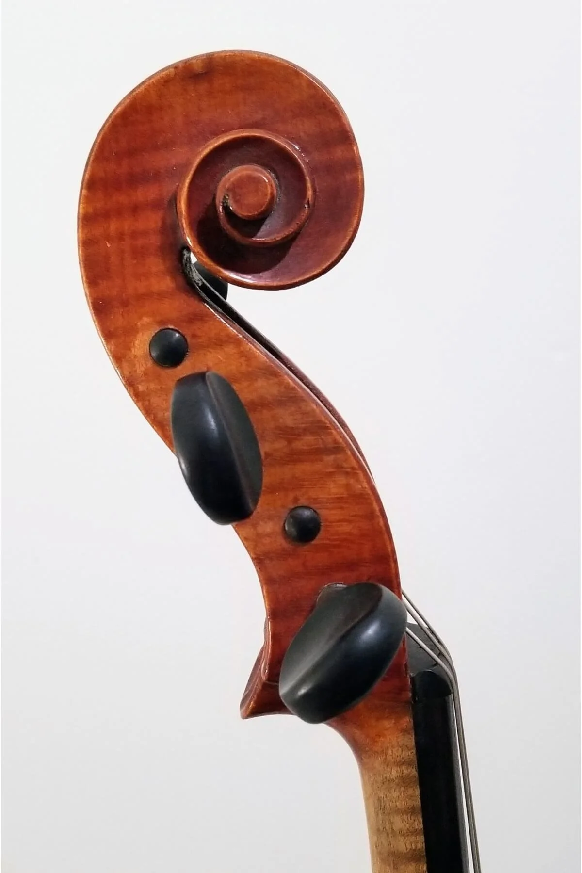 A 15 1/2 German viola, early 20th century - scroll view